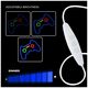 Neon PLEXI LED GAMEPAD multicolor FPNE03X Forever Light