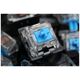 Liocat gaming keyboard KX 365+ C mechanical qwerty outemu blue black 5907691901263