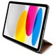 Original Case APPLE IPAD 10.9 (10gen) Guess 4G Stripe Allover (GUFC11PS4SGP) pink 3666339111632