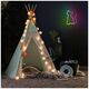 Neon LED RGB CAT FLRN03 + RC Forever Light 5900495398079